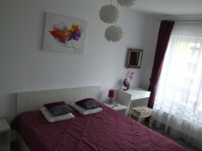  Anca Apartment  Брашов